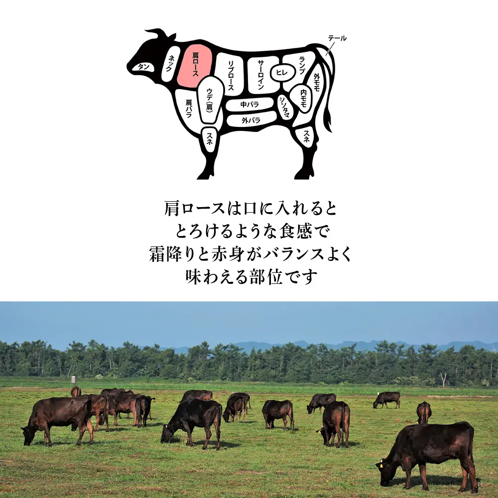 北海道 白老産 黒毛和牛 肩ロース すき焼き 500g (2・3人前) BS033