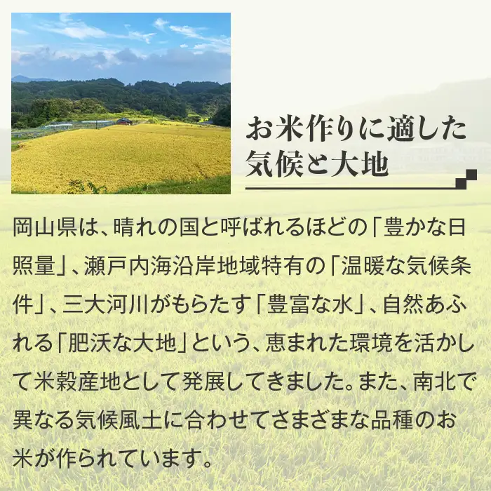 【無洗米】岡山県産こしひかり2kg【3ヶ月連続お届け】