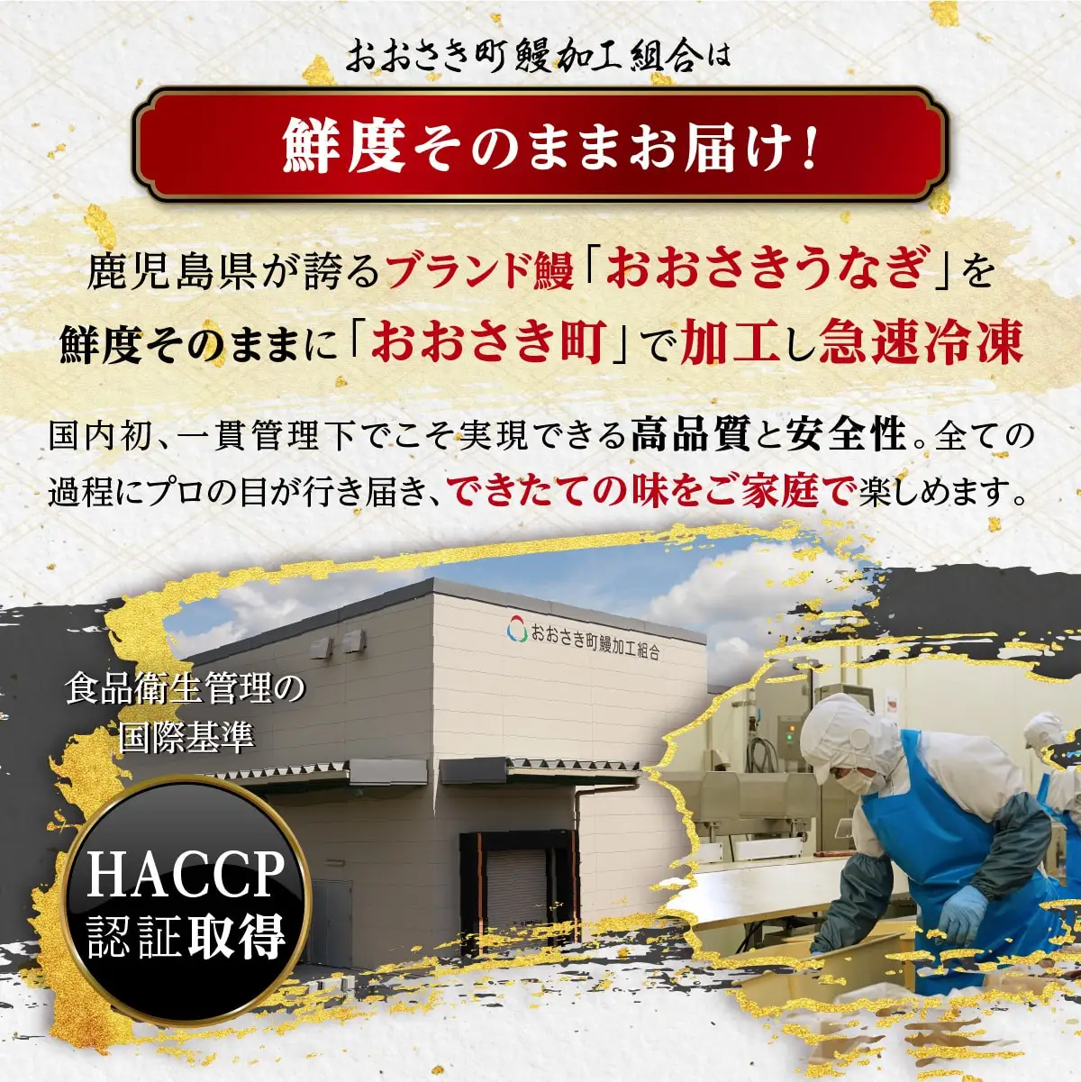 おおさきうなぎ（鹿児島県産うなぎ長蒲焼）３尾セット