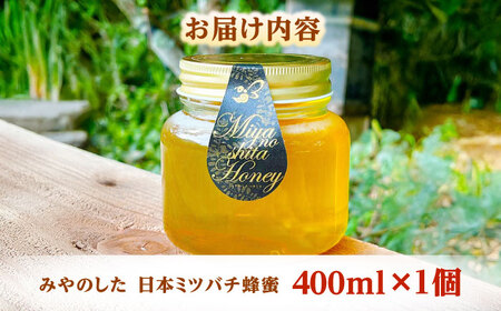 蜂蜜 天然日本ミツバチの「はちみつ」 400ml×1個 [AICL002]