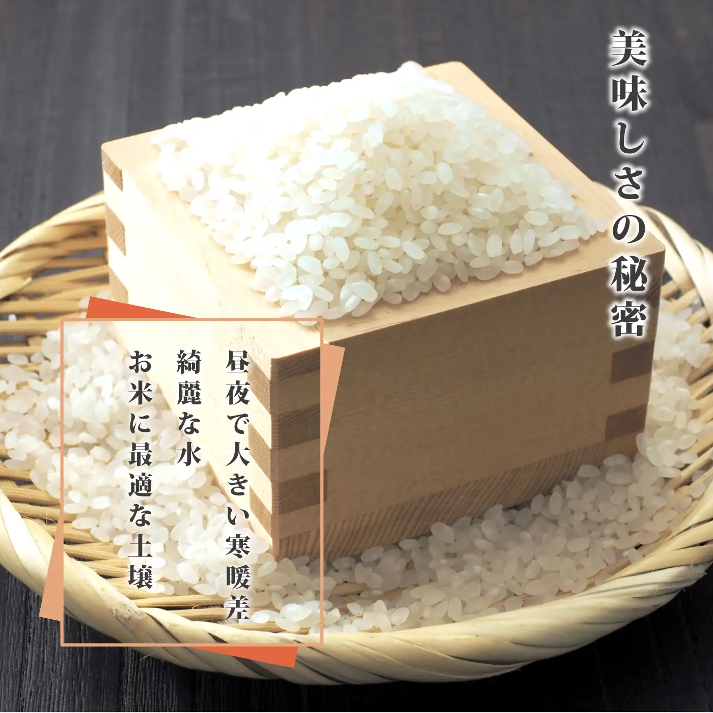令和7年産≪美味しまね認証産品≫島根県邑南町産　コシヒカリ　10kg