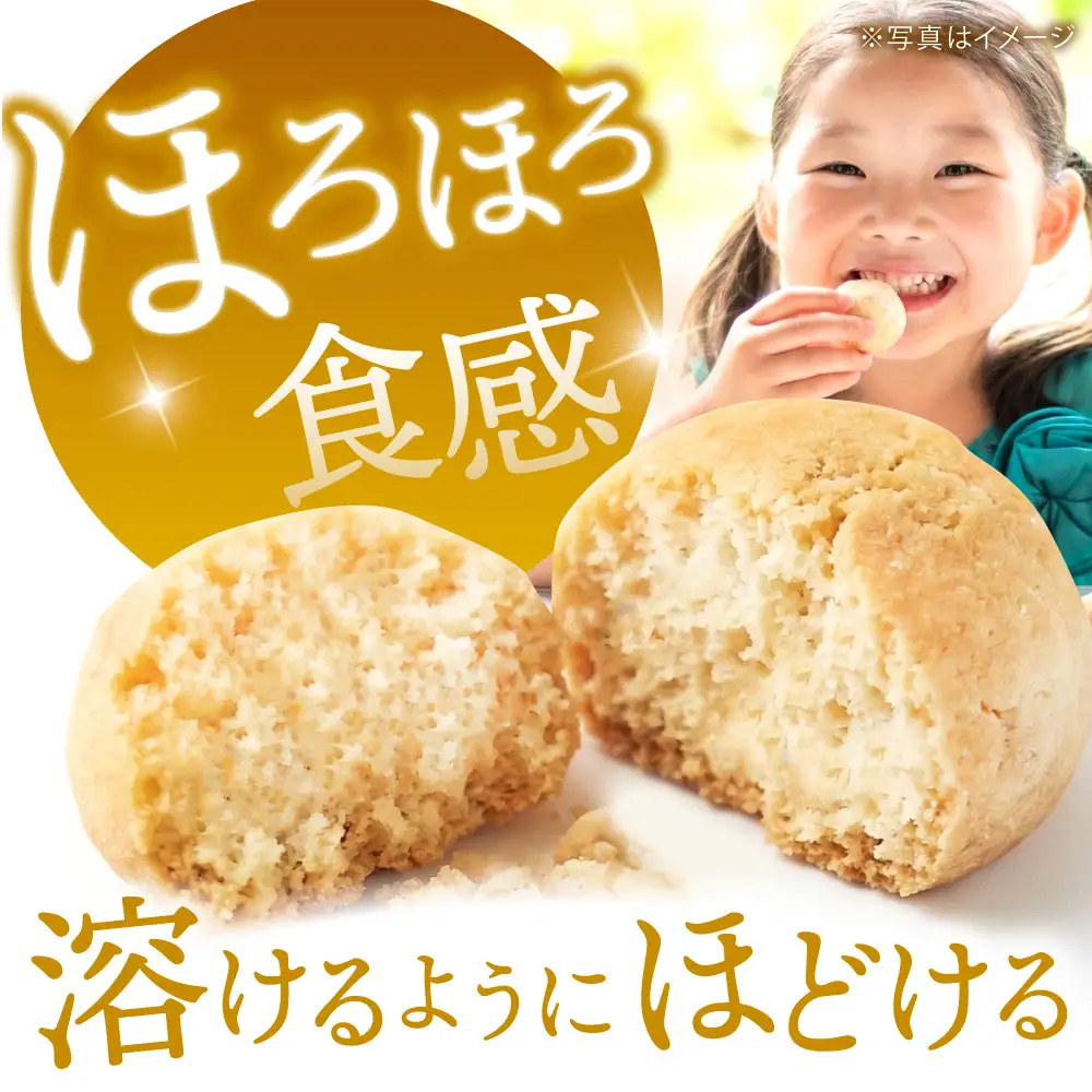焼き菓子 詰め合わせ 17袋 多治見市 / 社会就労センター [TAM006] 焼き菓子