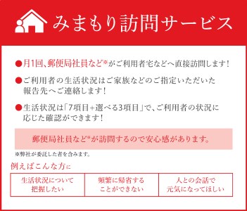 みまもり訪問サービス 6か月【日本郵便】 防犯 見守り 郵便局 [TAV008]