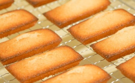 お菓子 スイーツ フィナンシェ 17個 2缶セット おまかせ 個包装 贈答 ギフト デザイン缶 プレーン ショコラ 紅茶 オレンジ いちじく ヘーゼルナッツ 橘マスカルポーネ 黒糖ほうじ茶 季節 限定 商品 