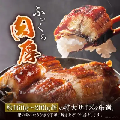 うなぎ U4B 静鰻うなぎ4尾セット | すべての商品 | オリエンタルフーズ