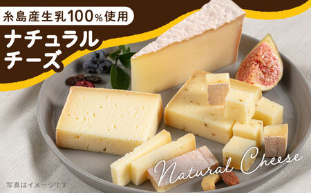 【糸島産生乳100％使用の手作りチーズ】コハク熟成 1ホール 糸島市 / 糸島ナチュラルチーズ製造所TAK-タック- [AYC011] チーズ 乳