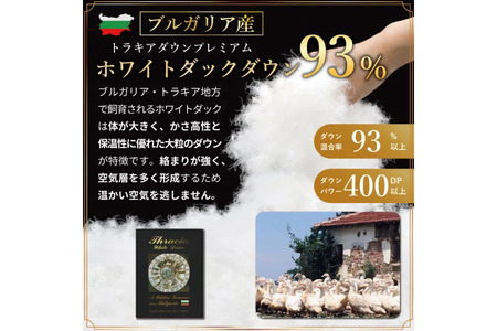 羽毛布団 ダブル 冬用 本掛け  60番手サテン 青系 柄 ｜[川村羽毛 山梨県 韮崎市 20743240]