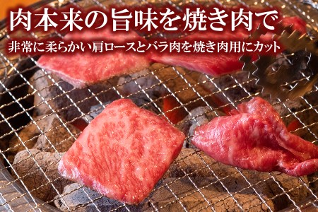 くまもと黒毛和牛 焼肉用ロース・カルビ 500g 《60日以内に出荷予定(土日祝除く)》 熊本県 長洲町 くまもと黒毛和牛 黒毛和牛 牛肉 肉 焼き肉 株式会社 羽根(出荷元：株式会社酒湊)