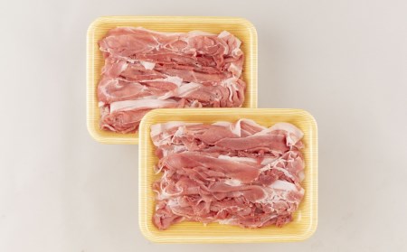 長崎ＳＰＦ豚切り落とし(2㎏)セット