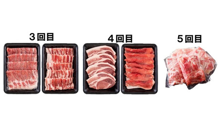 《定期便》長崎県産豚お届け便(5回)