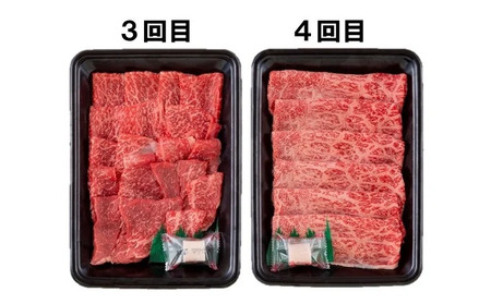 《定期便》長崎和牛お届け便ミニ(6回)