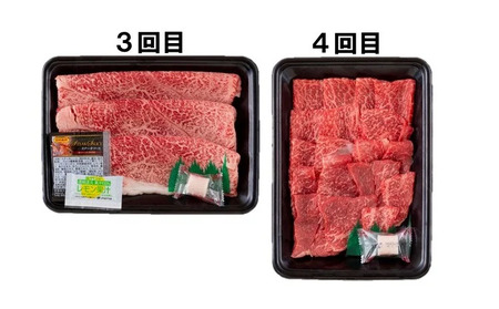 《定期便》長崎和牛赤身お届け便ミニ(6回)