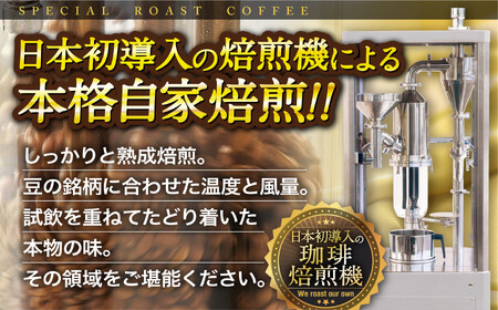 【コーヒー】 ブルーマウンテン コーヒー豆 自家焙煎 E195z