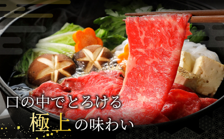  神戸牛 モモ スライス 500g【あしや竹園】