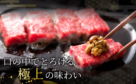  神戸牛 サーロイン ステーキ 400g（200g×2枚）【あしや竹園】