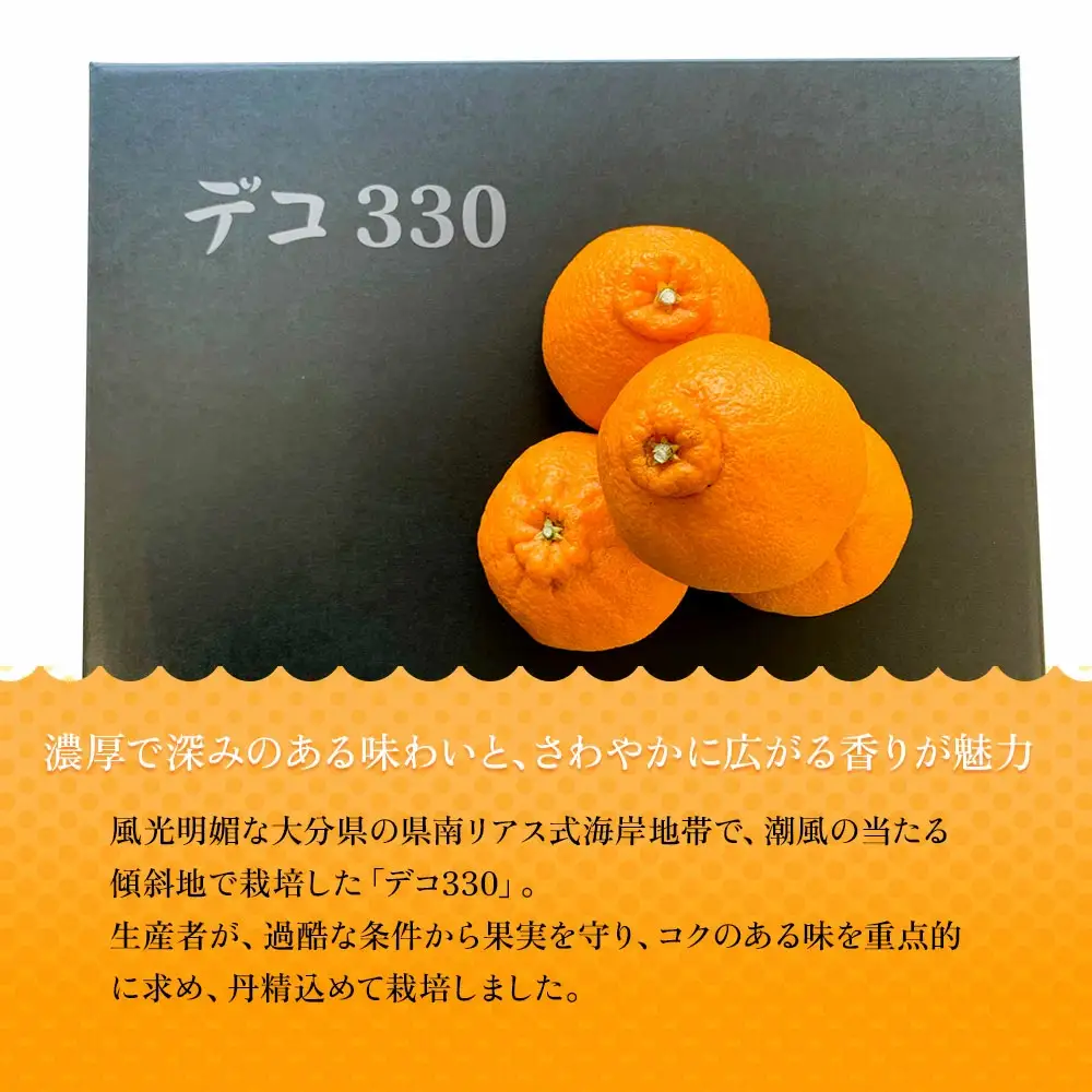 完熟みかん デコポン 約3kg | デコポン 津久見市