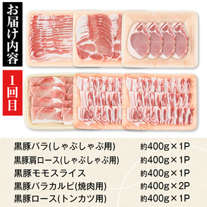 【E02004】＜定期便・全3回(隔月)＞極上セットD！かごしま黒豚ふるさと定期便 鹿児島 国産 九州産 黒豚 焼肉 しゃぶしゃぶ すき焼き 焼肉 ぎょうざ ギョーザ ギフト 贈答【和田養豚】