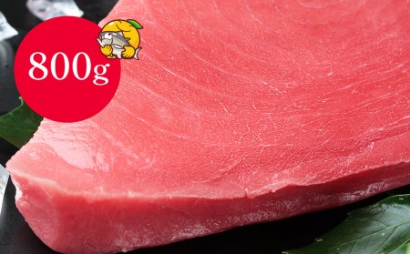本マグロ お刺身用 赤身 5人前 (800g) | まぐろ 津久見市
