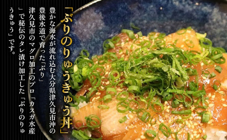 ぶり・まぐろの漬け（ひゅうが）丼セット  ぶりのりゅきゅう100g×4P・まぐろ120g×4P | 津久見市