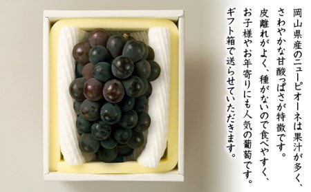 74-11 ニューピオーネ1房（600g以上）【2026年8月下旬～9月下旬頃発送予定】
