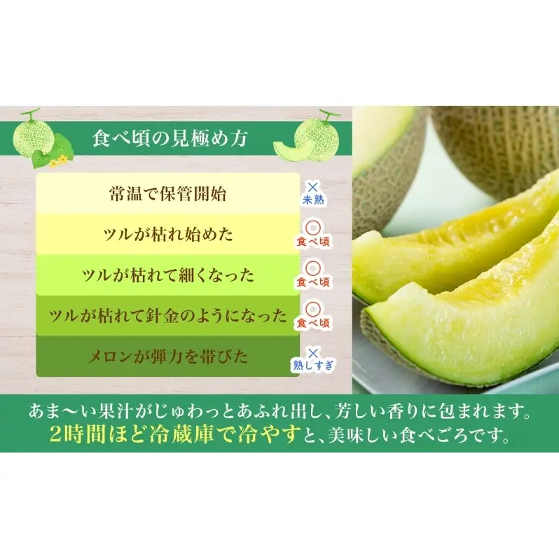 【2026年夏発送】北海道 青肉メロン 月雫 秀品 2玉 約1.6kg 計約3.2kg以上 令和8年 メロン 果物 フルーツ 旬 季節 希少 甘い 豊潤 国産 北海道産 デザート ご褒美 産地直送 ギフト お祝い 贈答品 贈り物 お取寄