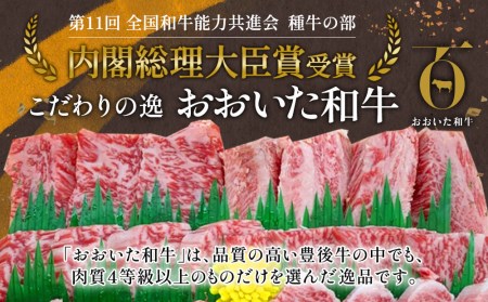 おおいた和牛 焼肉 300g×2P | 焼肉 津久見市