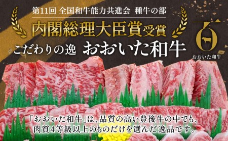 赤身 焼肉用 おおいた和牛 300g | 焼肉 津久見市