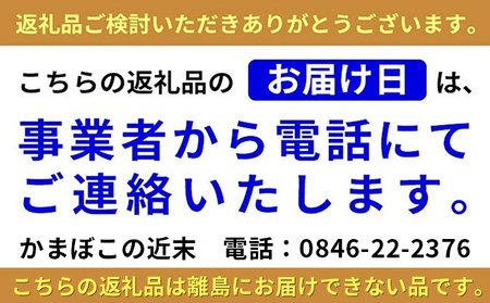 かまぼこ の近末 いろどりセット