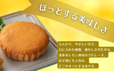 レモンケーキ10個・マドレーヌ5個 詰合せ 1箱 御菓子処 末広堂【広島 レモンケーキ マドレーヌ 詰め合わせ 焼き菓子 セット ギフト】