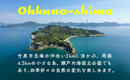 うさぎ島 手ぶらでキャンプペア宿泊券（24,000円相当）