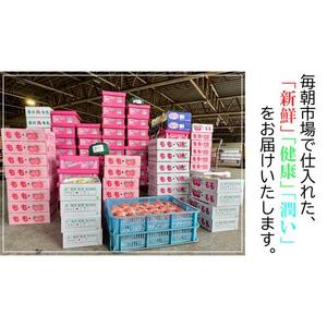 濃厚ぷりっぷりっ♪厳選「不知火(しらぬひ)」約3kg