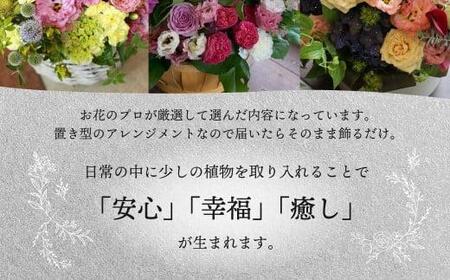 プレミアムコースお花の定期便  フラワーアレンジメント  カゴ付き(毎月１回×6）翌月より発送開始 フラワーアレンジメント 季節の花 生花 定期便 FJ107