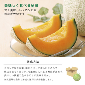 【2026年6月発送】〈桐箱入〉ふらの山部の絶品 メロン『鳳凰』3L 2玉 計4kg以上 フルーツ