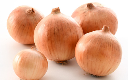 【先行予約】玉ねぎ 5kg（サイズ S M L ミックス）田んぼで育てた甘くて柔らか自慢の玉ねぎ！／ 野菜 玉葱 たまねぎ 甘い ※2026年7月上旬より順次発送予定 [aw056-a021]