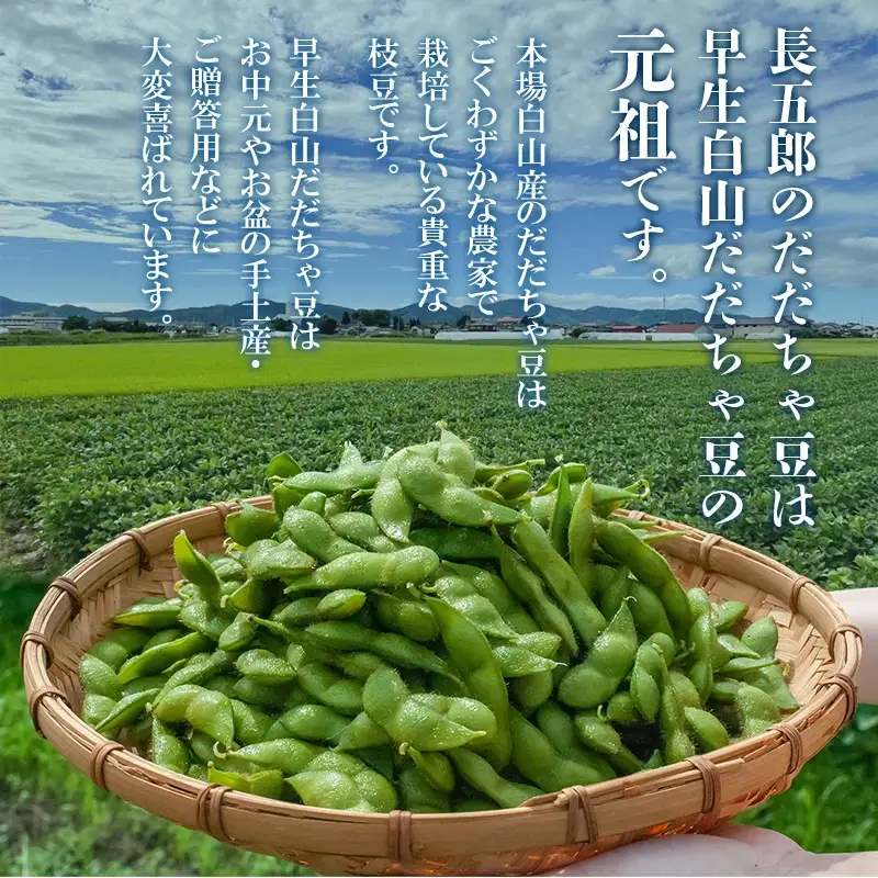 数量限定【令和8年産先行予約】 白山だだちゃ豆　4kg（500g × 8袋） + 訳あり200g　鶴岡市白山産　長五郎