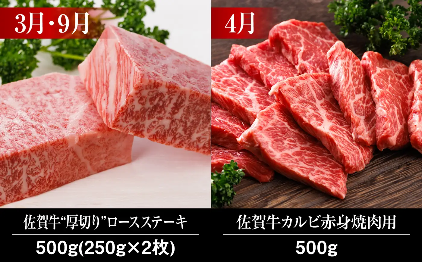 【全12回】佐賀牛 牛肉定期便 約2-3人前 総計6.8kg UCC004 牛肉