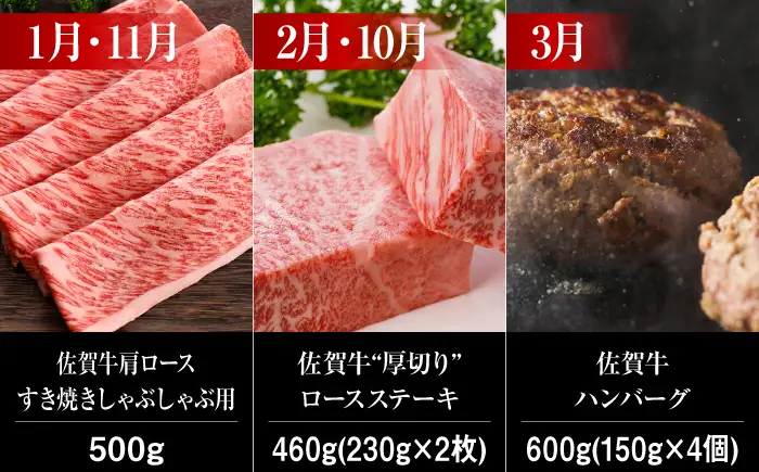 【全12回】佐賀牛 牛肉 定期便 約2-3人前 総計5.52kg UCC005 牛肉