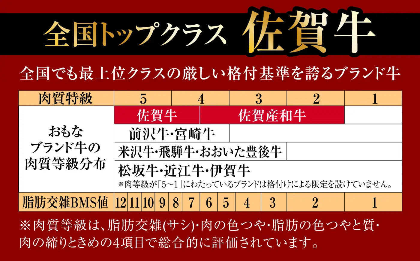 佐賀牛 牛肉切り落とし 460g /焼肉どすこい [UCC010] 牛肉切り落とし