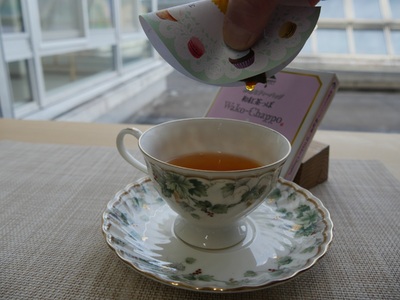 8-6 邪道なティーバッグ 煎茶っぽ×２個・和紅茶っぽ１個