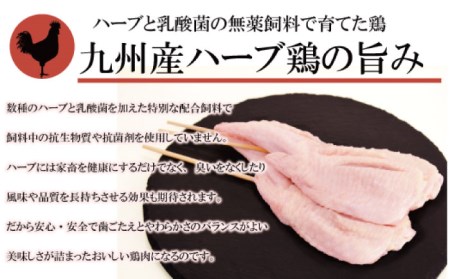 【12回定期便】【おうちで 焼き鳥 屋さん！】 串焼き 盛り合わせ 6種類 30本セット / やきとり ヤキトリ 焼鳥 串セット 国産 冷凍 小分け / 南島原市 / ふるさと企画 [SBA026]