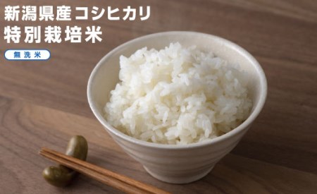 L2-02Super Express Rice 箱セット　新潟県長岡産コシヒカリ無洗米1.8kg[2合（300g）×6本]
