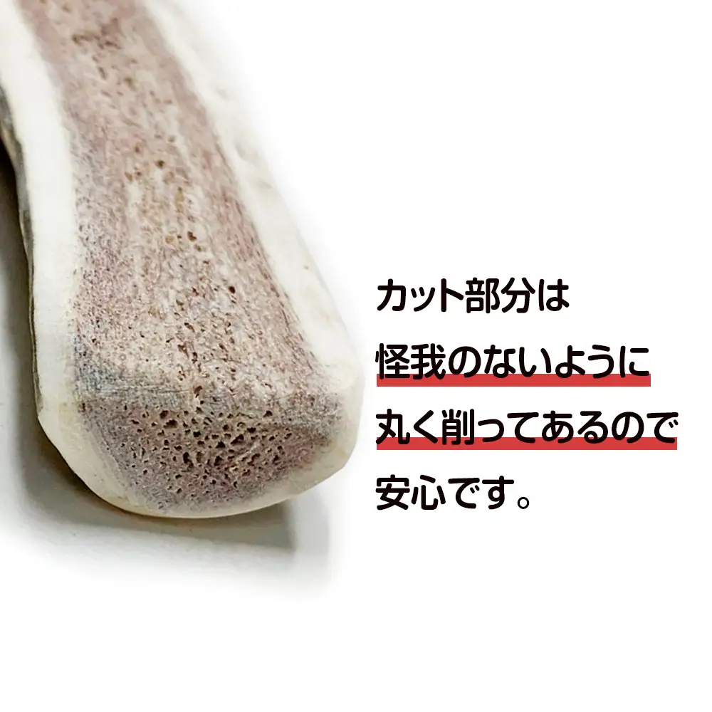 鹿の角 エゾシカ 犬のおもちゃ 『鹿角さん』 小型犬用　半割り　1本