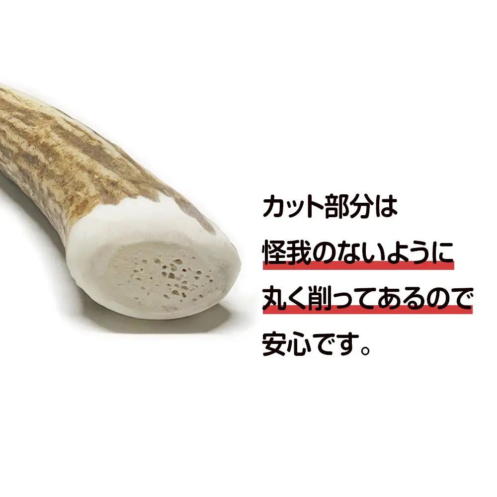 鹿の角 エゾシカ 犬のおもちゃ 『鹿角さん』 小型犬用　先端　2本セット