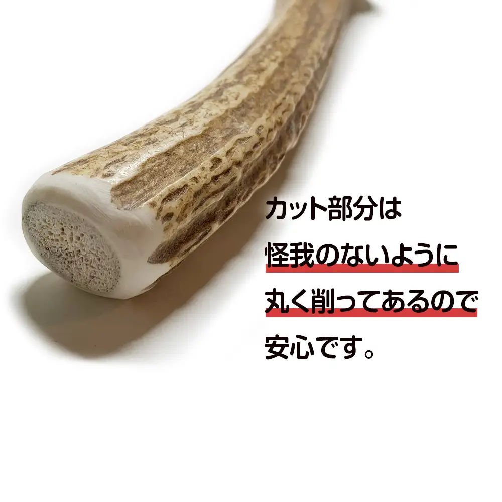 鹿の角 エゾシカ 犬のおもちゃ 『鹿角さん』 大型犬用　割っていないタイプ　１本