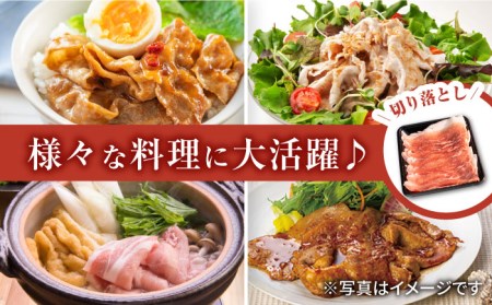 若楠三元豚 切り落とし ハンバーグ セット 総計1.1kg /ナチュラルフーズ [UBH010] 豚