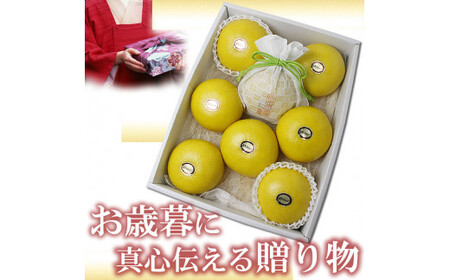 【先行予約】12月発送土佐文旦 文旦 贈答用 約3kg 中玉6個もしくは大玉5個入り〈2026年12月上旬〜2027年1月中旬頃発送〉  / ハウス文旦 温室土佐文旦 特選秀品ご贈答用中箱 柑橘 みかん フルーツ ぶんたん【白木果樹園】 [BQAI035]