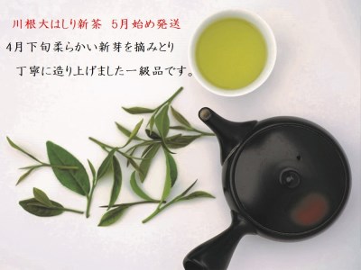 11-53 新茶 静岡川根茶大走り新茶100g×2本
