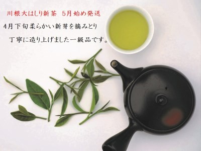 43-5 新茶 静岡川根茶大走り新茶100g×8本