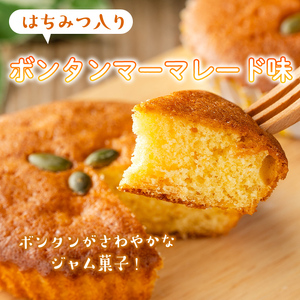 isa413 ＜数量限定＞ジャム菓子2種(ボンタン味8個、かぼちゃ味8個・計16個) 詰め合わせ 洋菓子 菓子 焼き菓子 ジャム ギフト 【薩摩美食倶楽部】