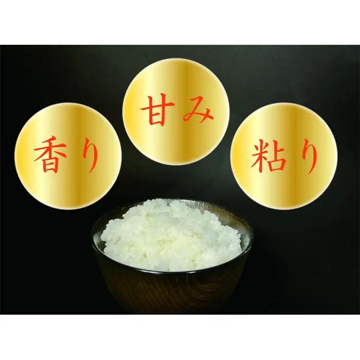 【令和7年産】【定期便 南魚沼産】コシヒカリ 白米5kg×6回